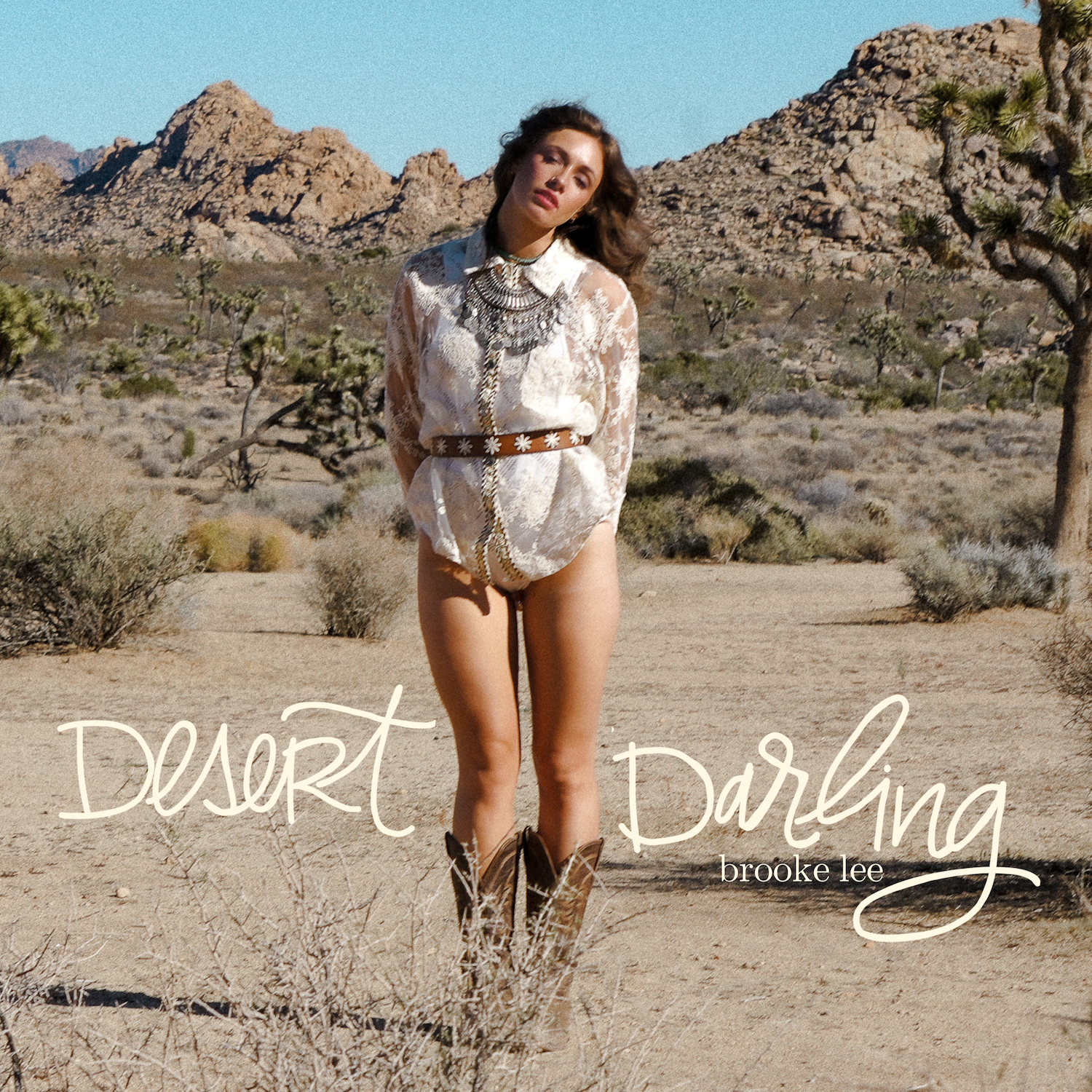 Brooke Lee Desert Darling artwork